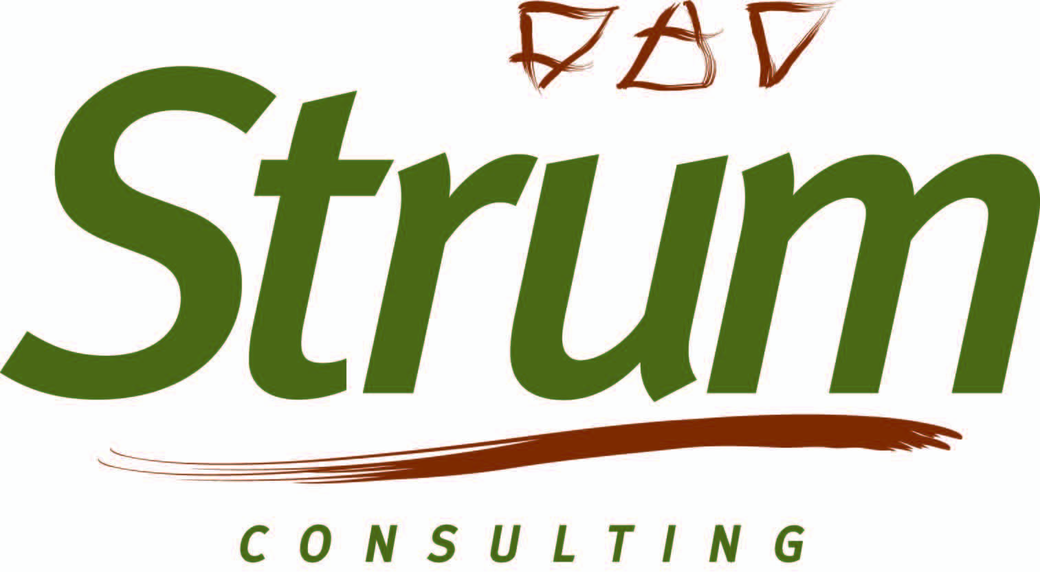 Strum Consulting