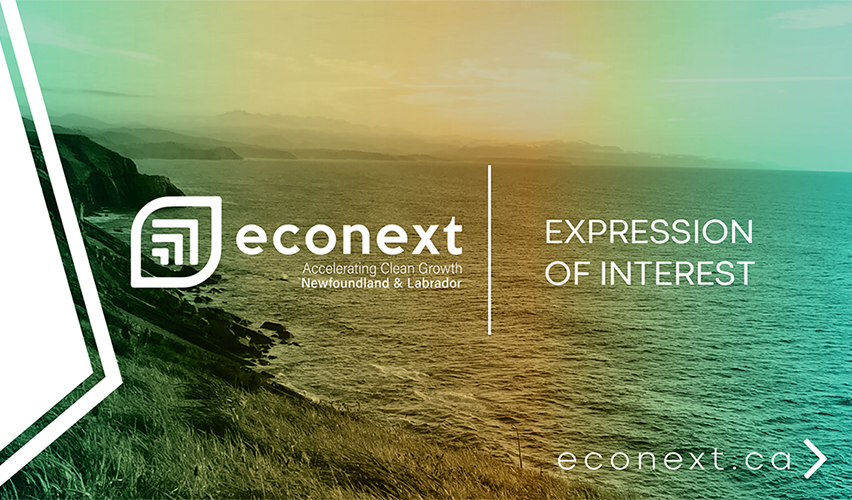 econext seeking Expressions of Interest from businesses in NL with innovative clean technologies in development