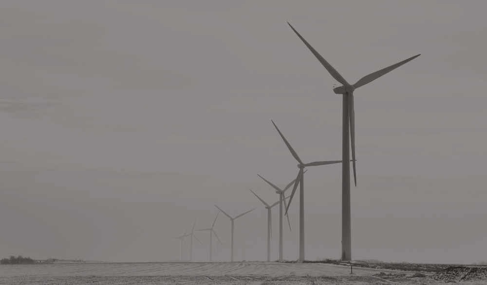econext celebrates announcement of Green Energy Hub in Newfoundland and Labrador