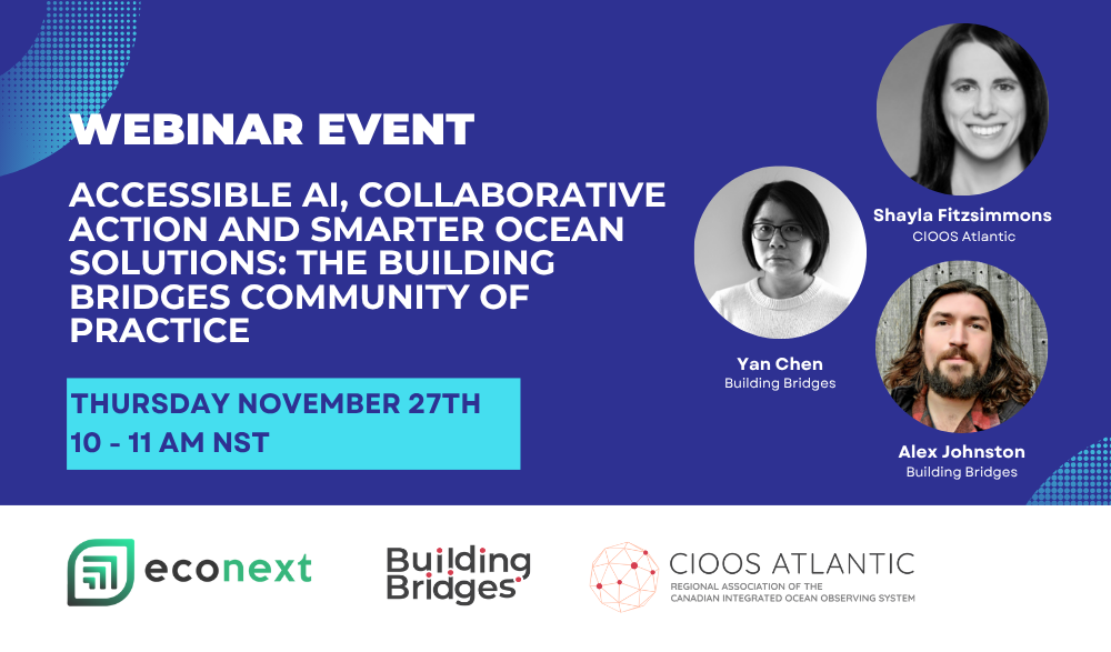 Accessible AI, Collaborative Action and Smarter Ocean Solutions: The Building Bridges Community of Practice
